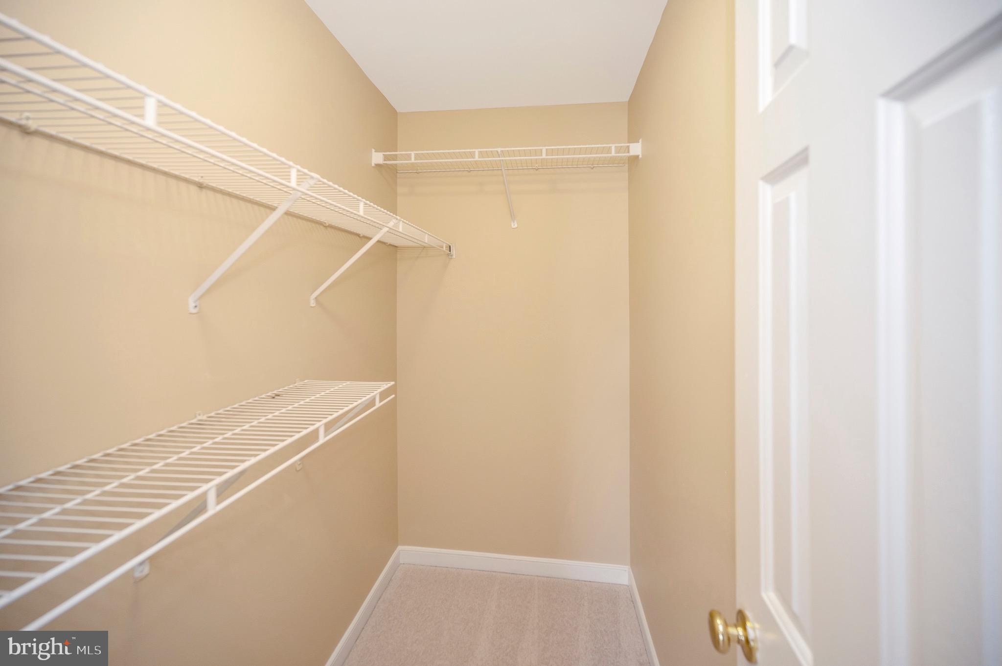 303 Donelson Loop Stafford, VA 22554 - Photo 17 of 50 Walk in closets