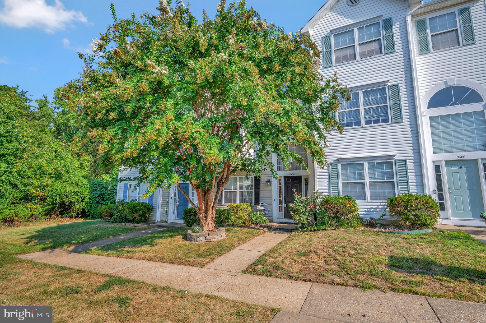 303 Donelson Loop Stafford, VA 22554 - Photo 45 of 50