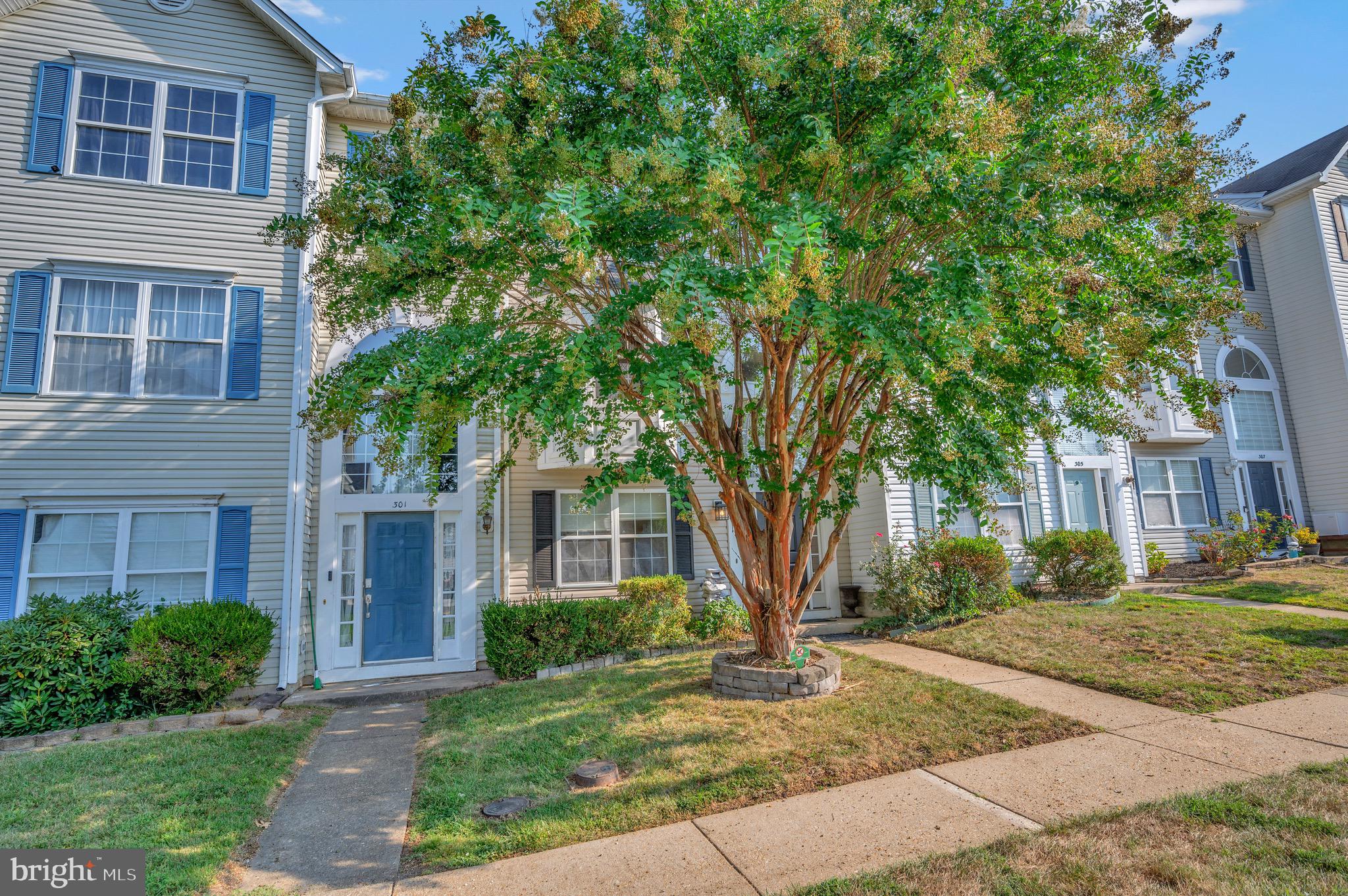 303 Donelson Loop Stafford, VA 22554 - Photo 46 of 50