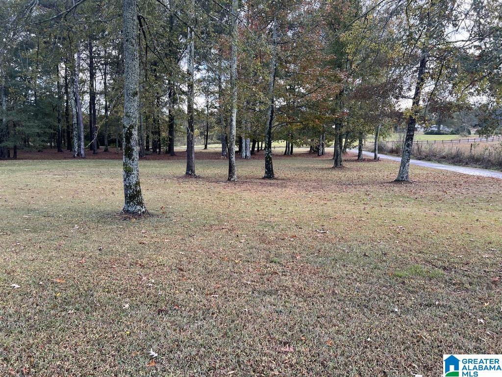 631 Burtram Road Springville, AL 35146 - Photo 36 of 40 Gallery Image 36