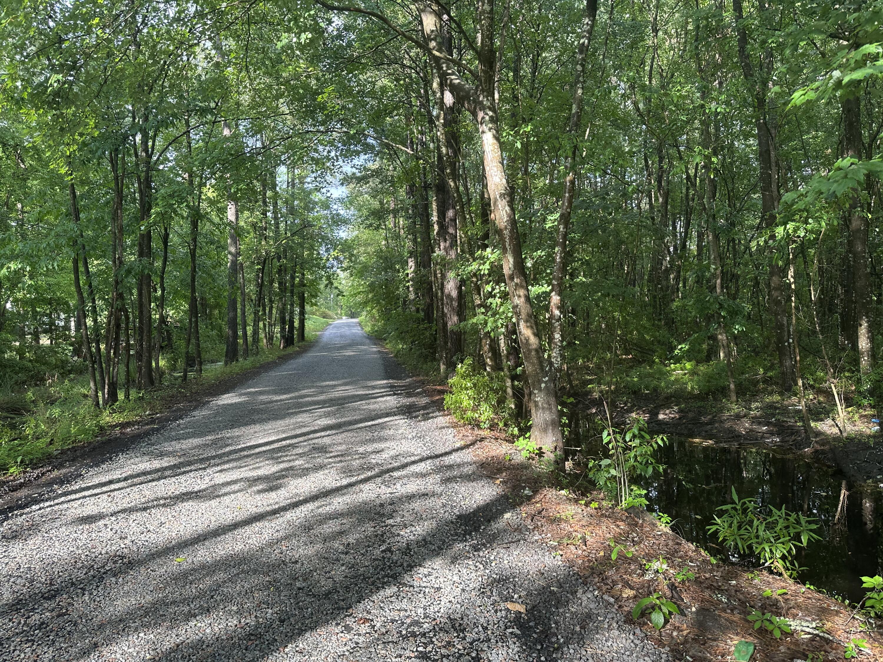 172 Rustys Way Cross, SC 29436 - Photo 6 of 37 497E6A31-6BE4-457B-92F0-85097216F430