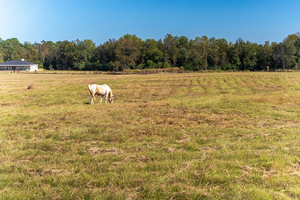0 J B J B Jackson Road Webb, AL 36376 - Photo 32 of 38