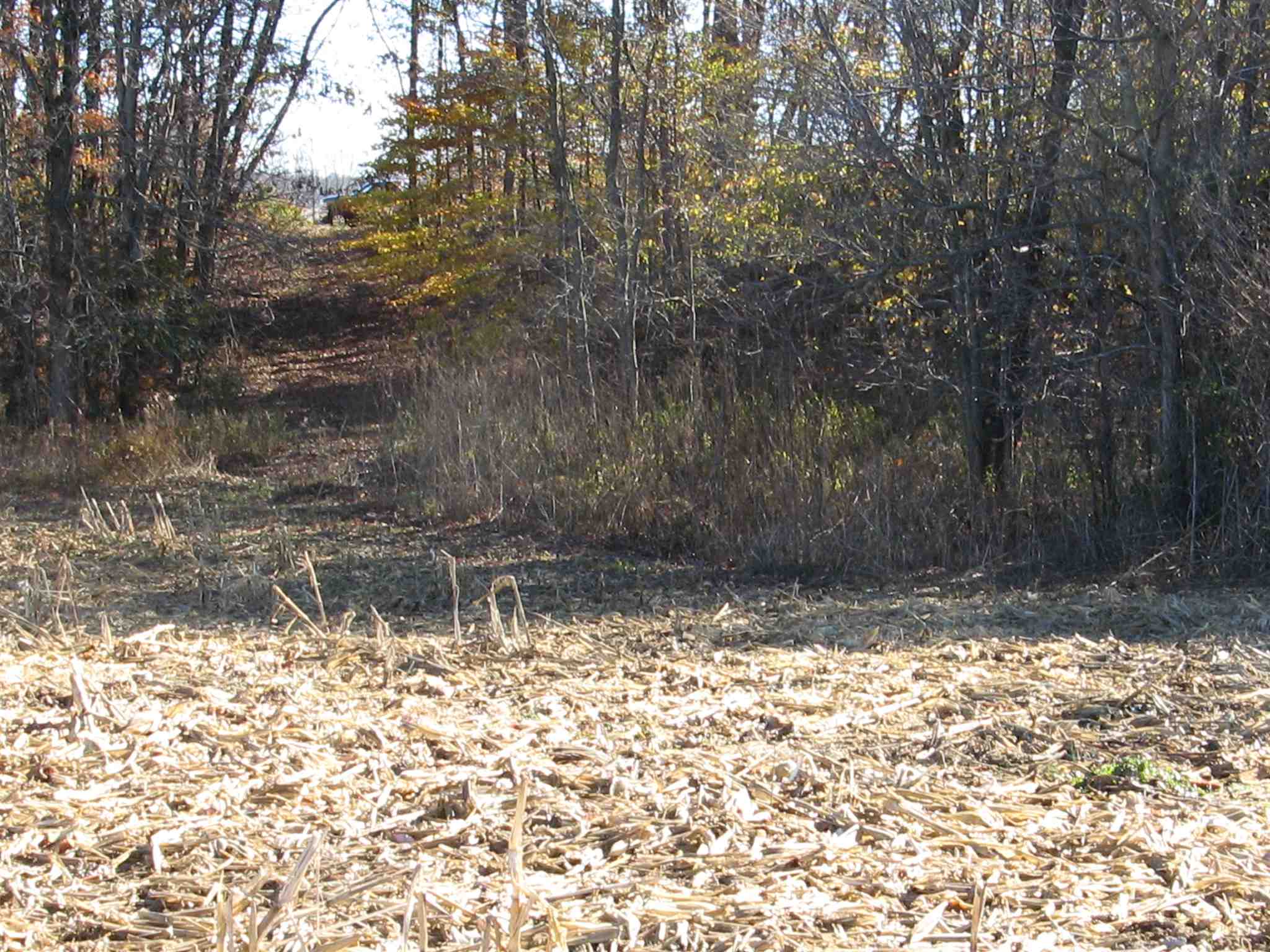 0 North Wakeland Road Paragon, IN 46166 - Photo 13 of 16