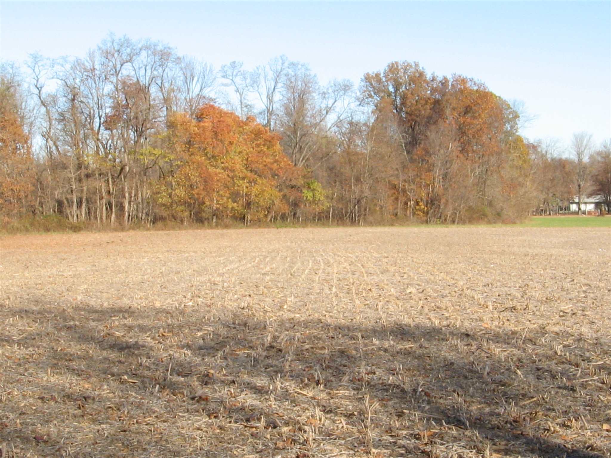 0 North Wakeland Road Paragon, IN 46166 - Photo 6 of 16