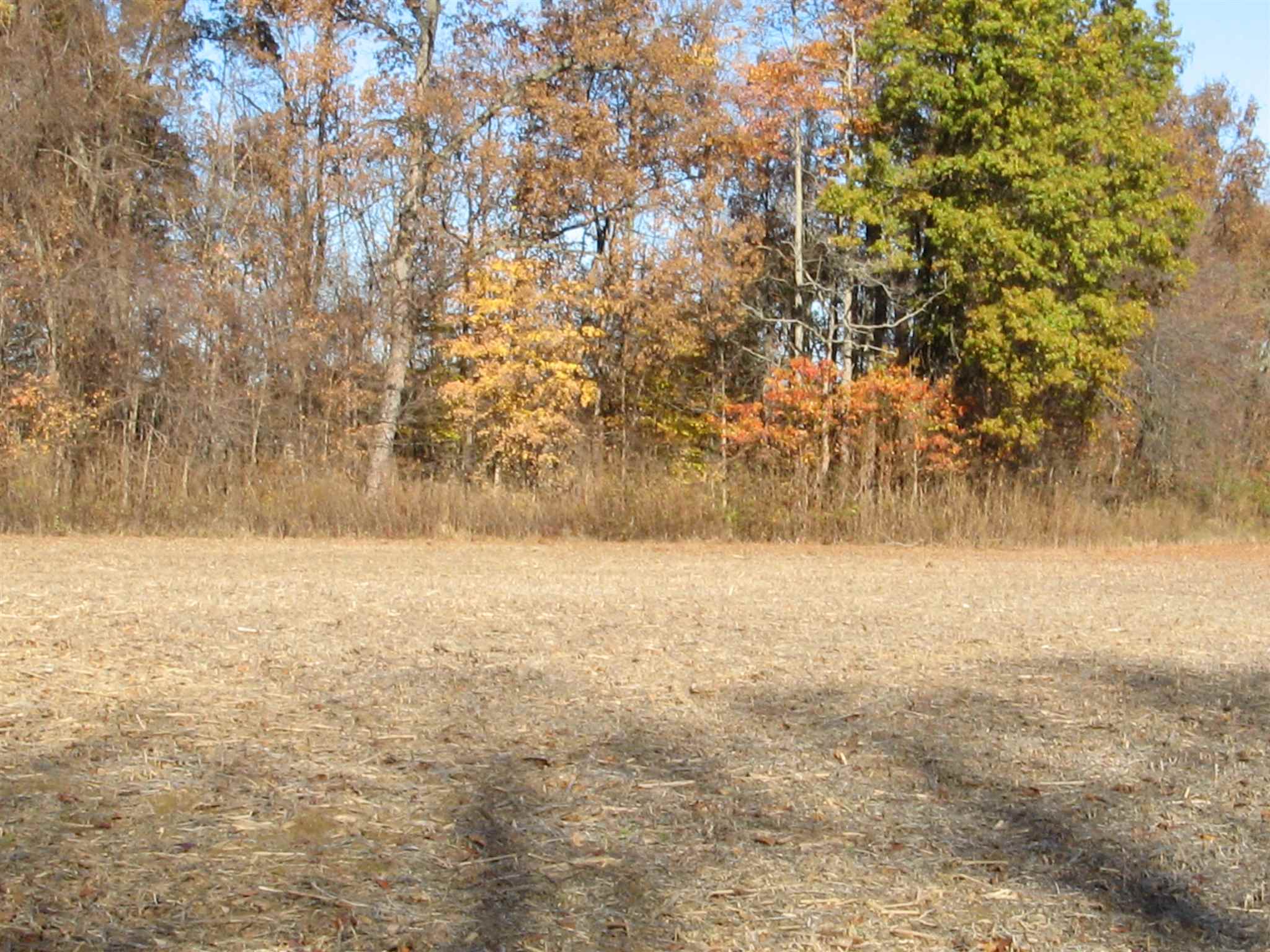 0 North Wakeland Road Paragon, IN 46166 - Photo 7 of 16