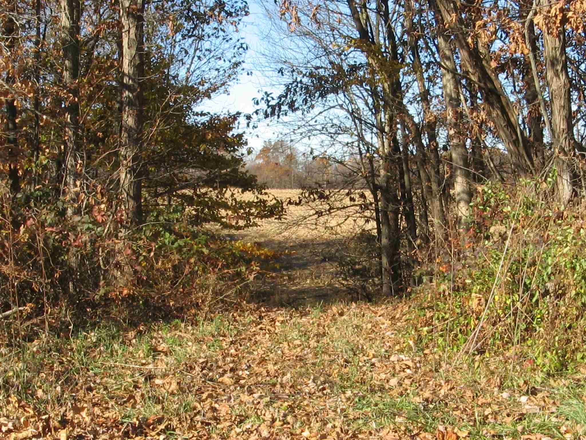 0 North Wakeland Road Paragon, IN 46166 - Photo 9 of 16