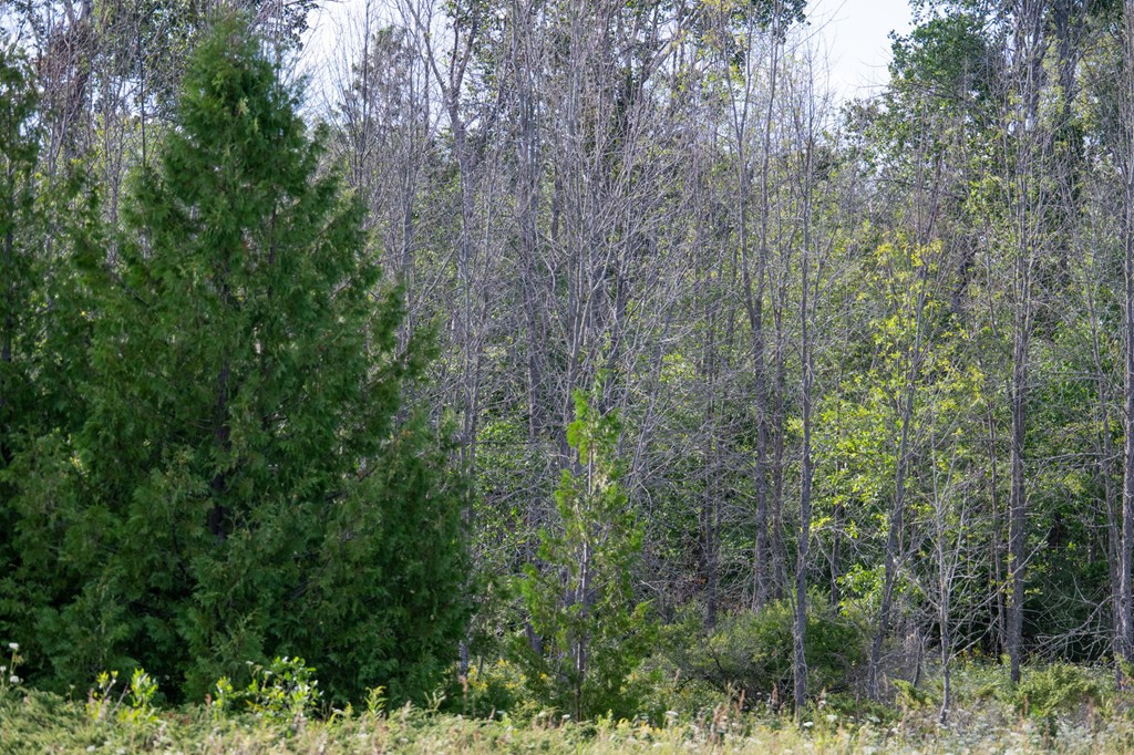 Tbd Tbd County Road Sister Bay, WI 54234 - Photo 7 of 32