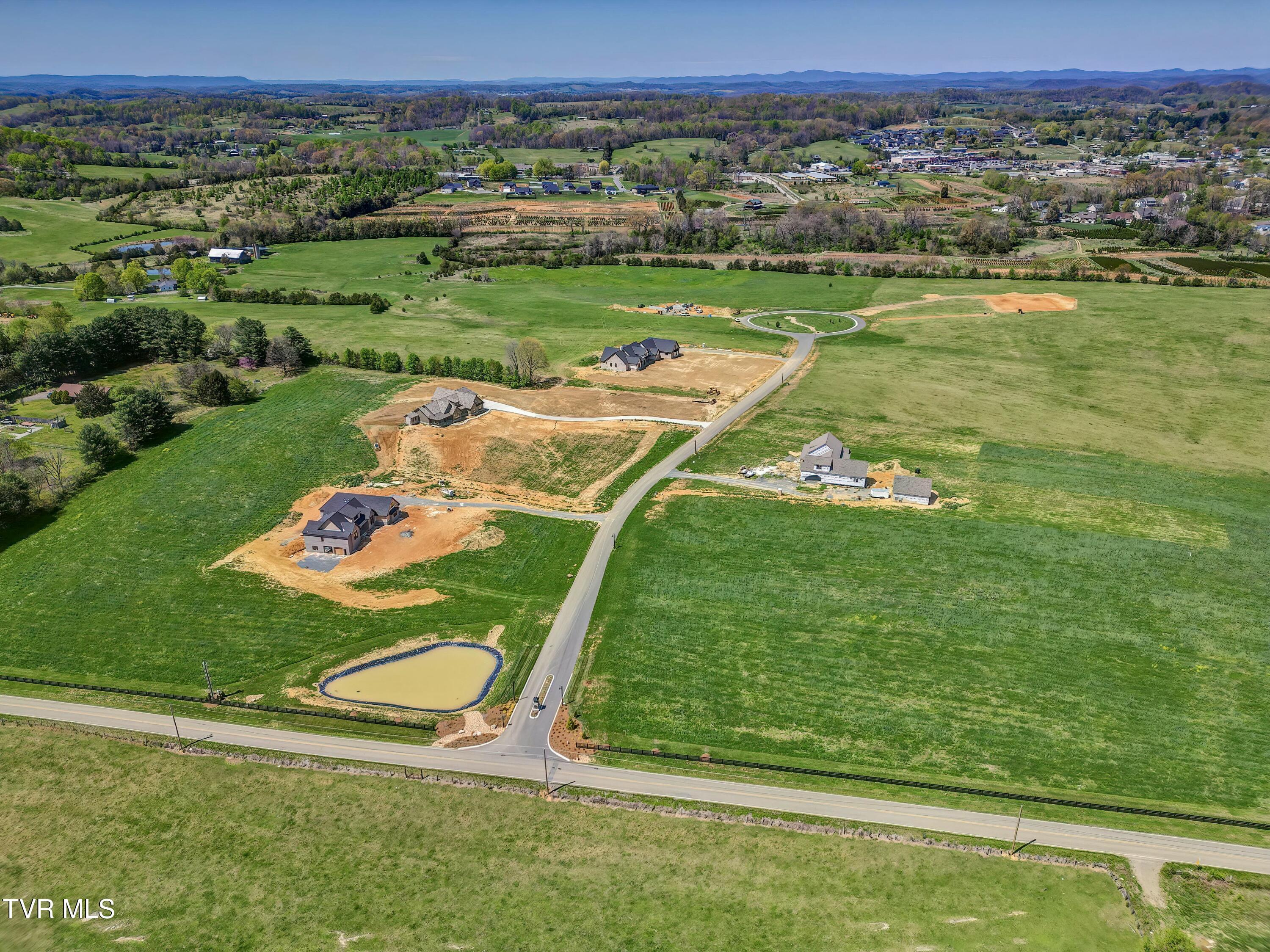 7391 Wolfe Ridge Dr Ridge, Unit 8 Piney Flats, TN 37686 - Photo 8 of 21 tempImageWfDulk