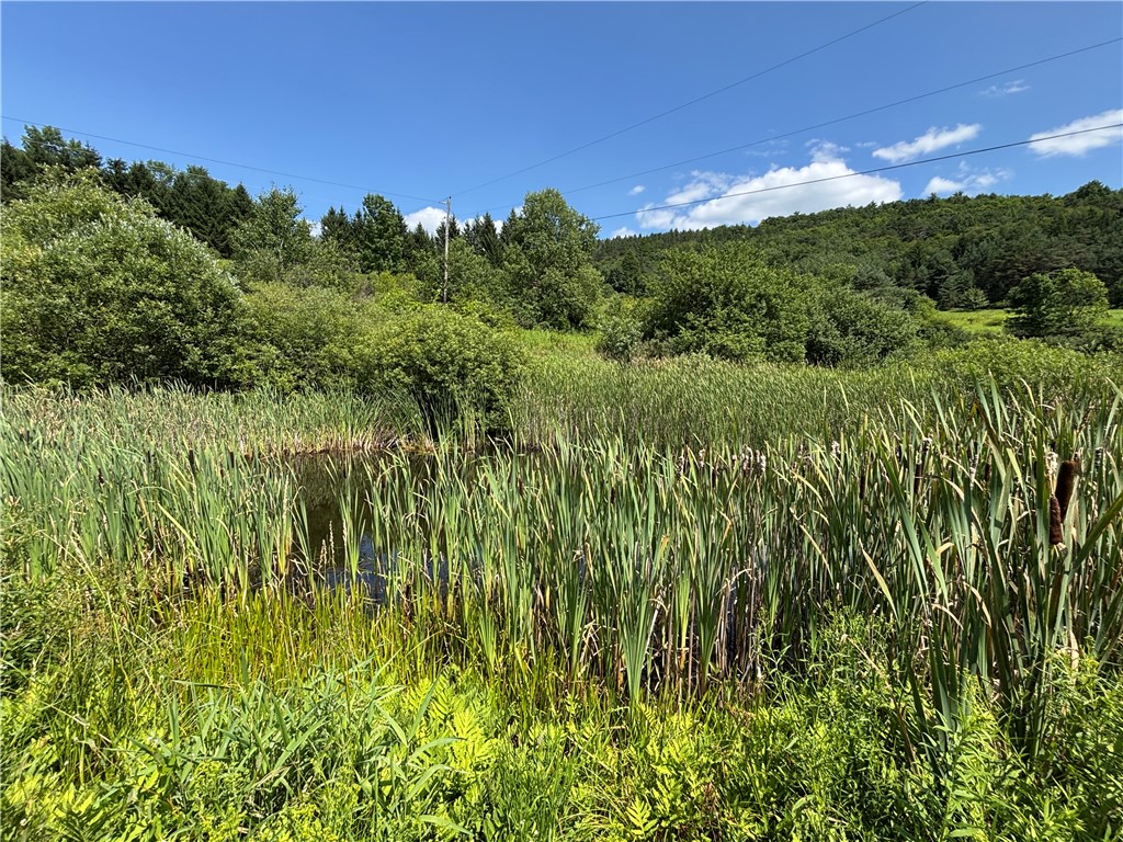 304 Cooper Road Middlefield, NY 13326 - Photo 2 of 26 Pond