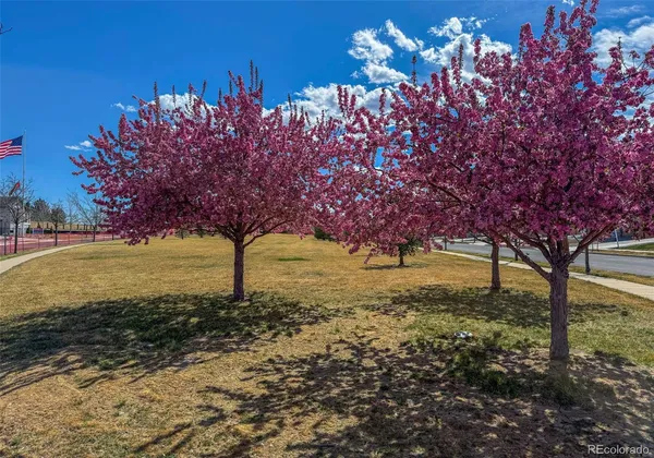 $925,000 | 4043 Emerald Shore Circle, Loveland, CO 80538