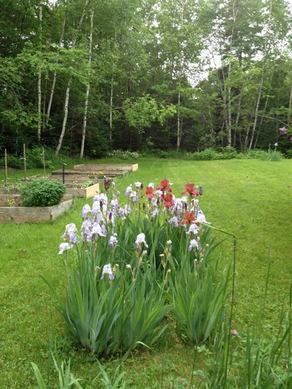 58 Rabbit Farm Road Warren, ME 04864 - Photo 23 of 28 Photo