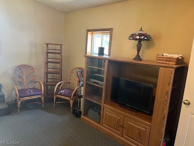 5498 Shields Road Canfield, OH 44406 - Photo 19 of 25 another view
