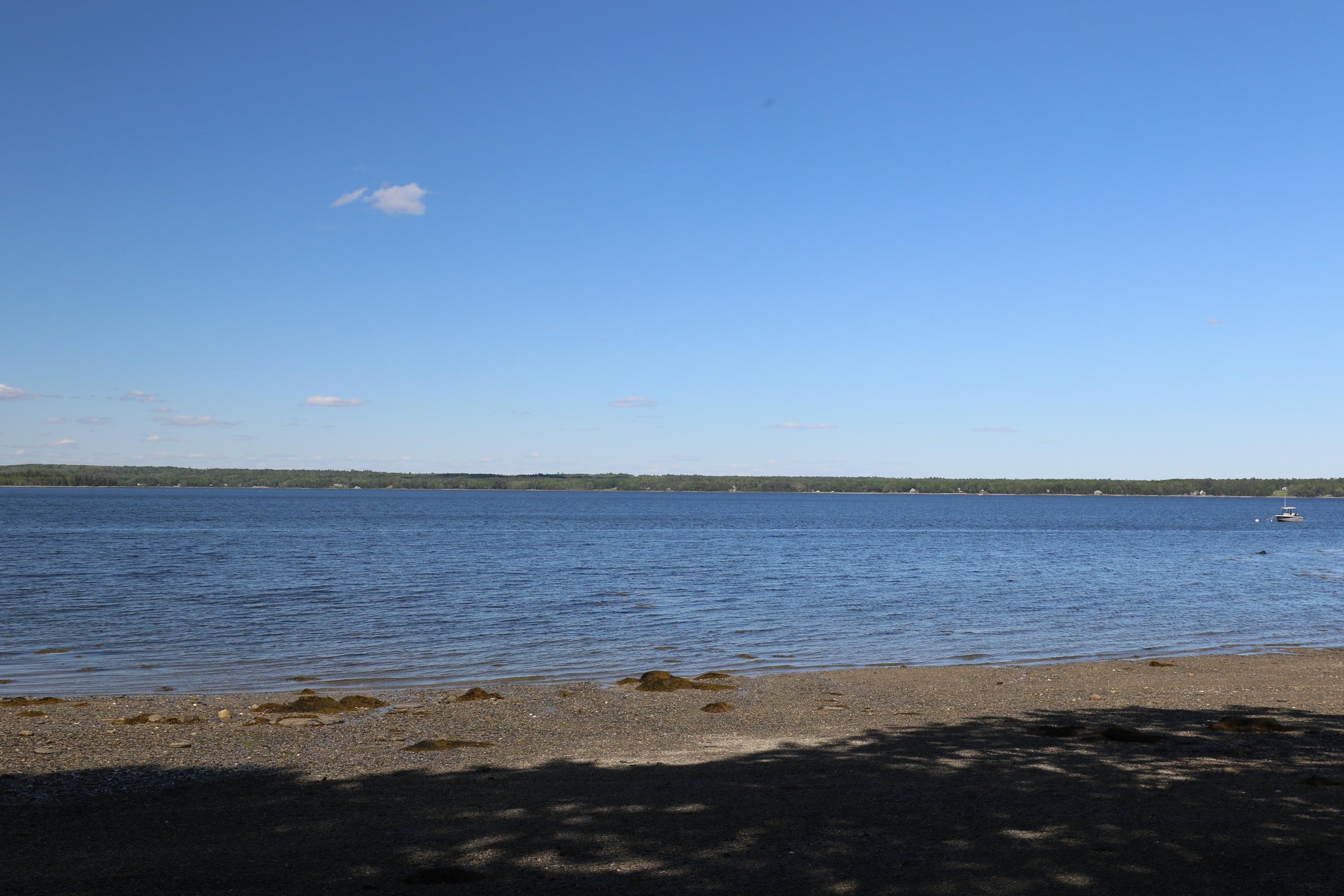 646 Newbury Neck Road Surry, ME 04684 - Photo 12 of 15 133A4401