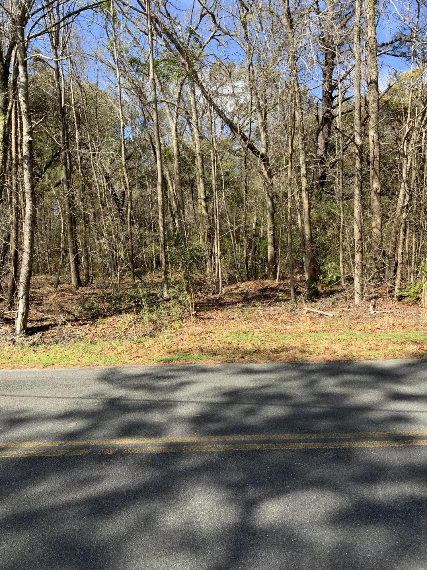 5037 Dr Taylor Road Hollywood, SC 29449 - Photo 4 of 4 p-4