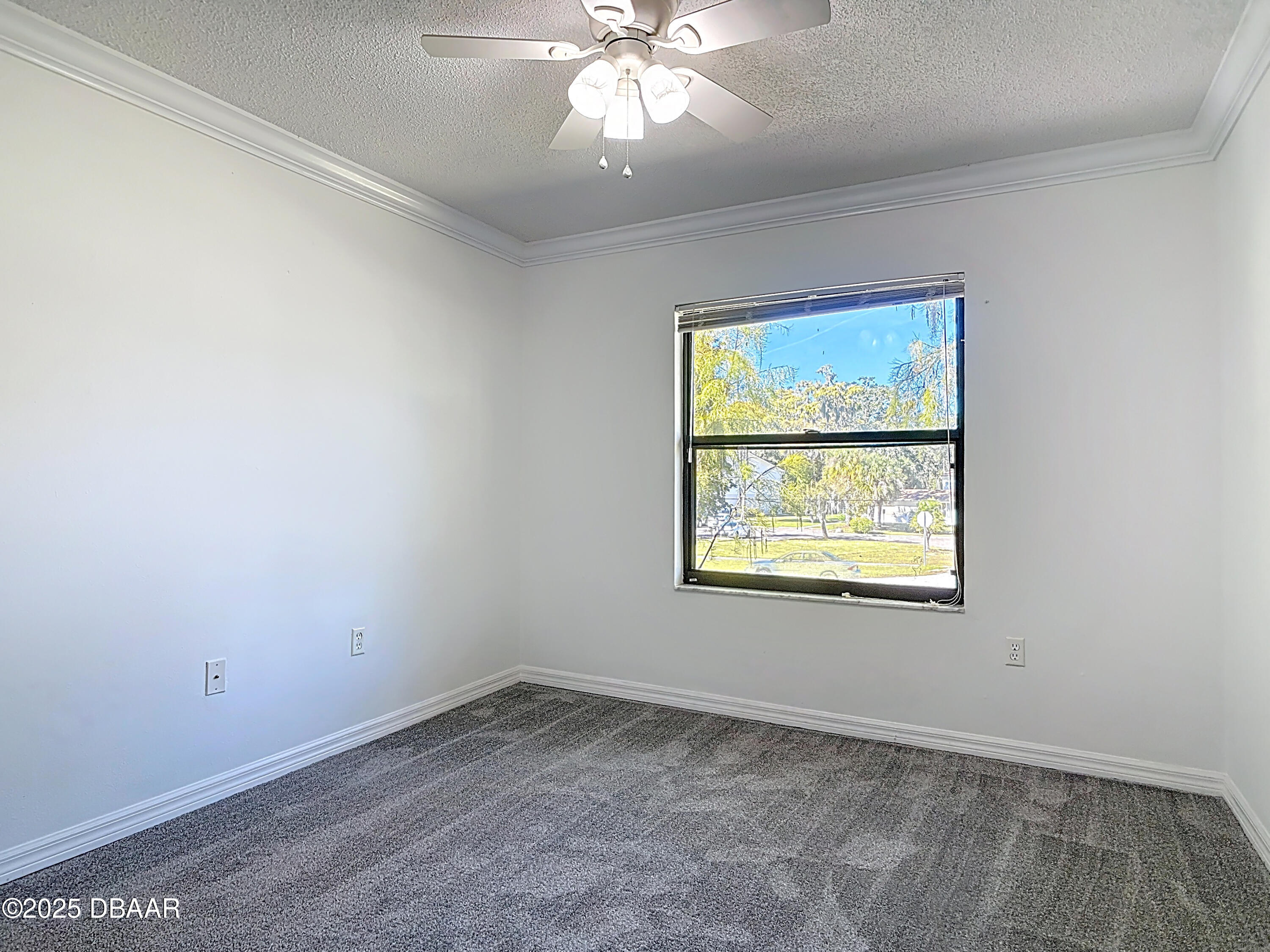1601 Big Tree Road, Unit 1205 Daytona Beach, FL 32119 - Photo 18 of 29 1601 Big Tree Road #1205-29