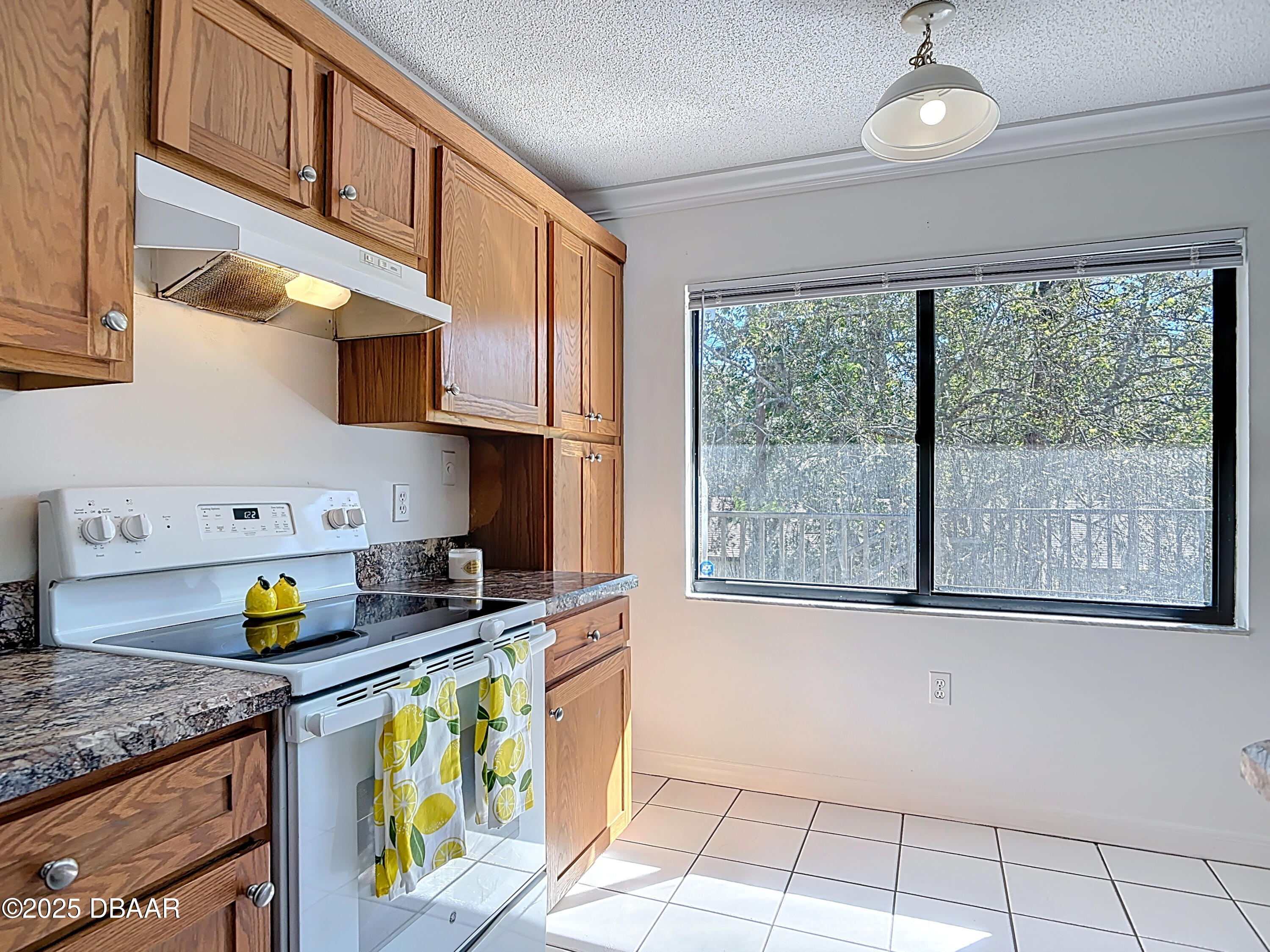 1601 Big Tree Road, Unit 1205 Daytona Beach, FL 32119 - Photo 7 of 29 1601 Big Tree Road #1205-17