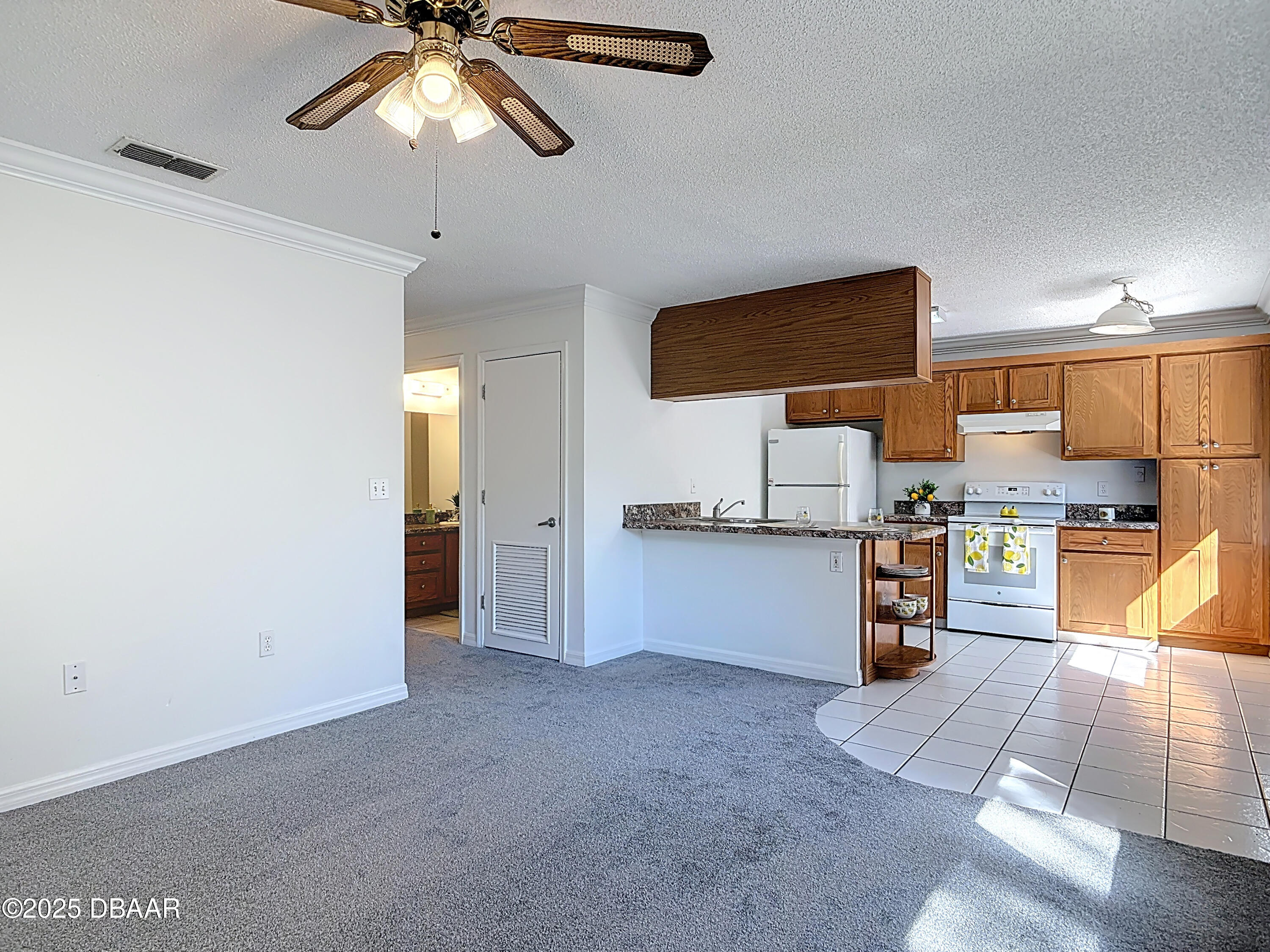 1601 Big Tree Road, Unit 1205 Daytona Beach, FL 32119 - Photo 10 of 29 1601 Big Tree Road #1205-22