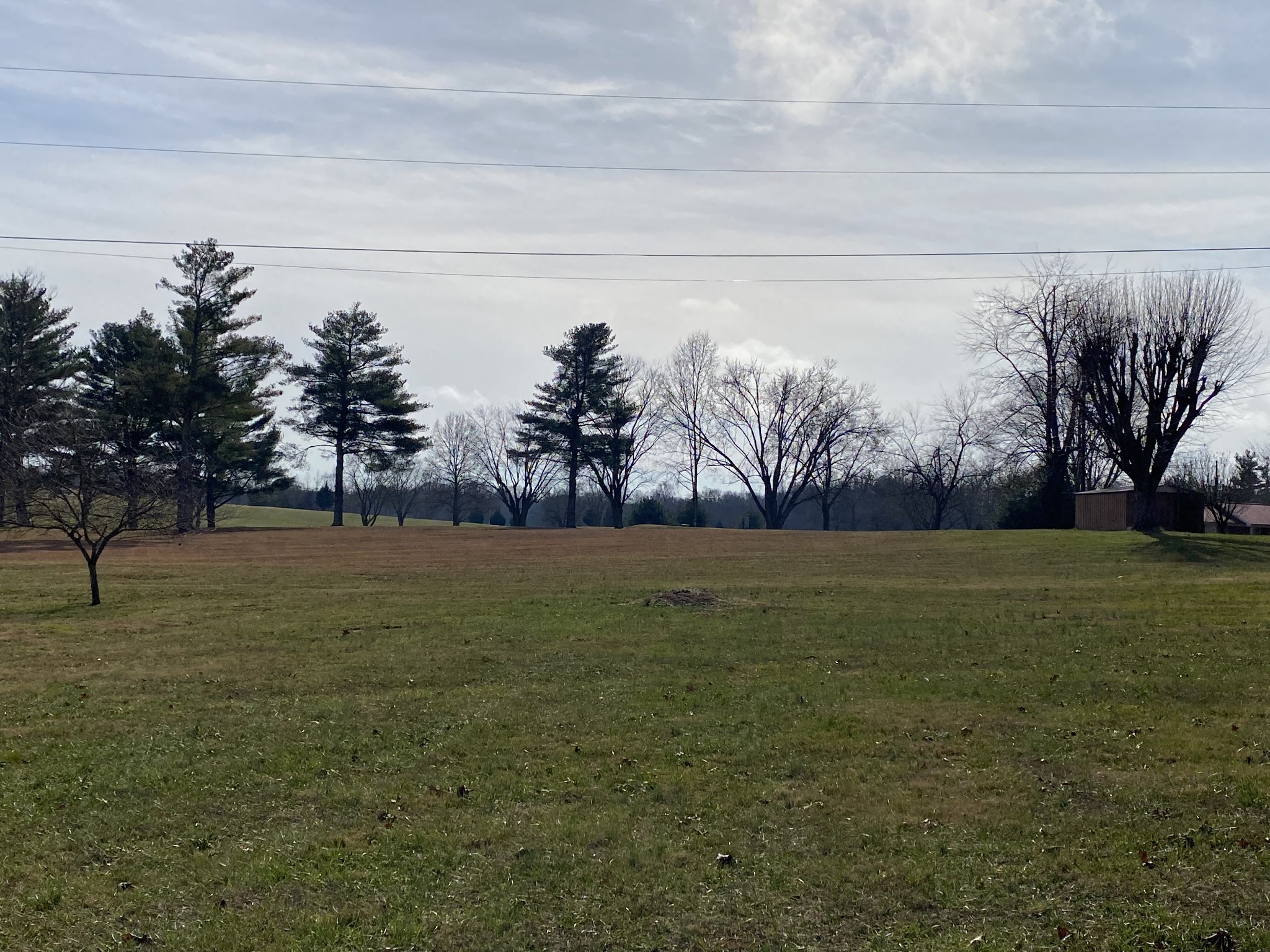 2348 Allen Ferry Road Smithville, TN 37166 - Photo 3 of 23 a view of outdoor space