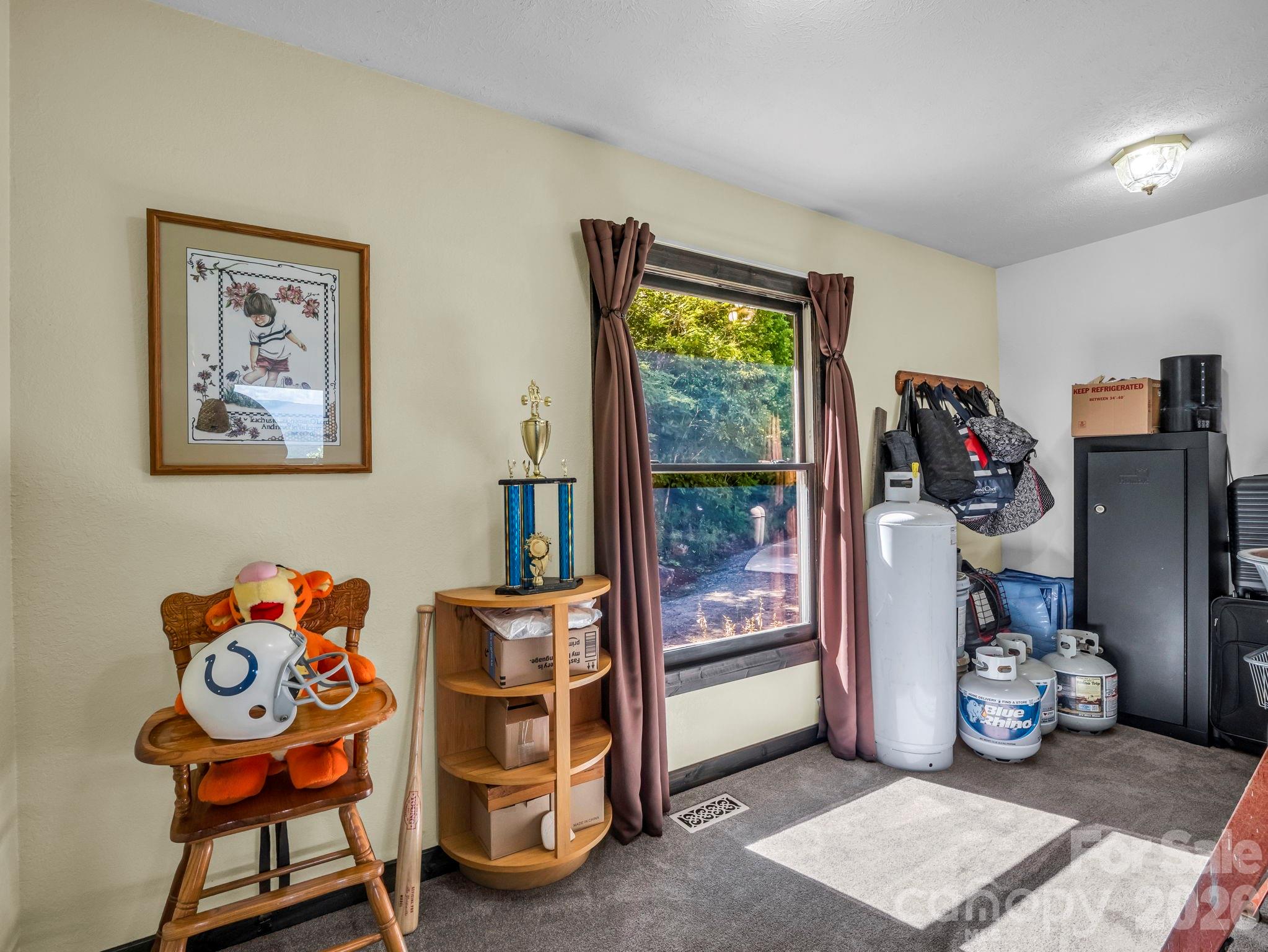 1025 Jeter Mountain Road Penrose, NC 28766 - Photo 29 of 48