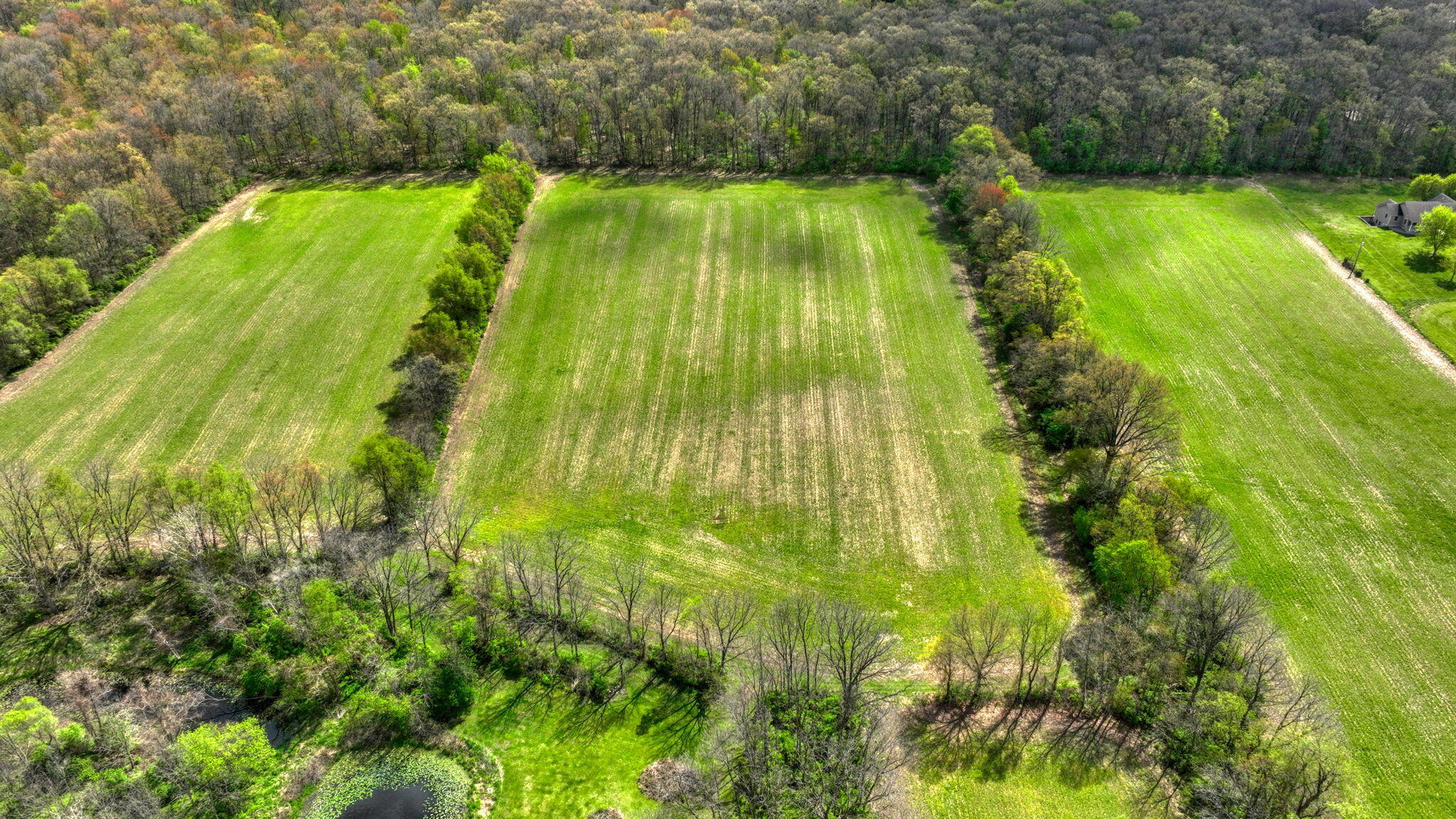 5299 Rives Junction Road Jackson, MI 49201 - Photo 52 of 64 homestead-lifestyle-mi