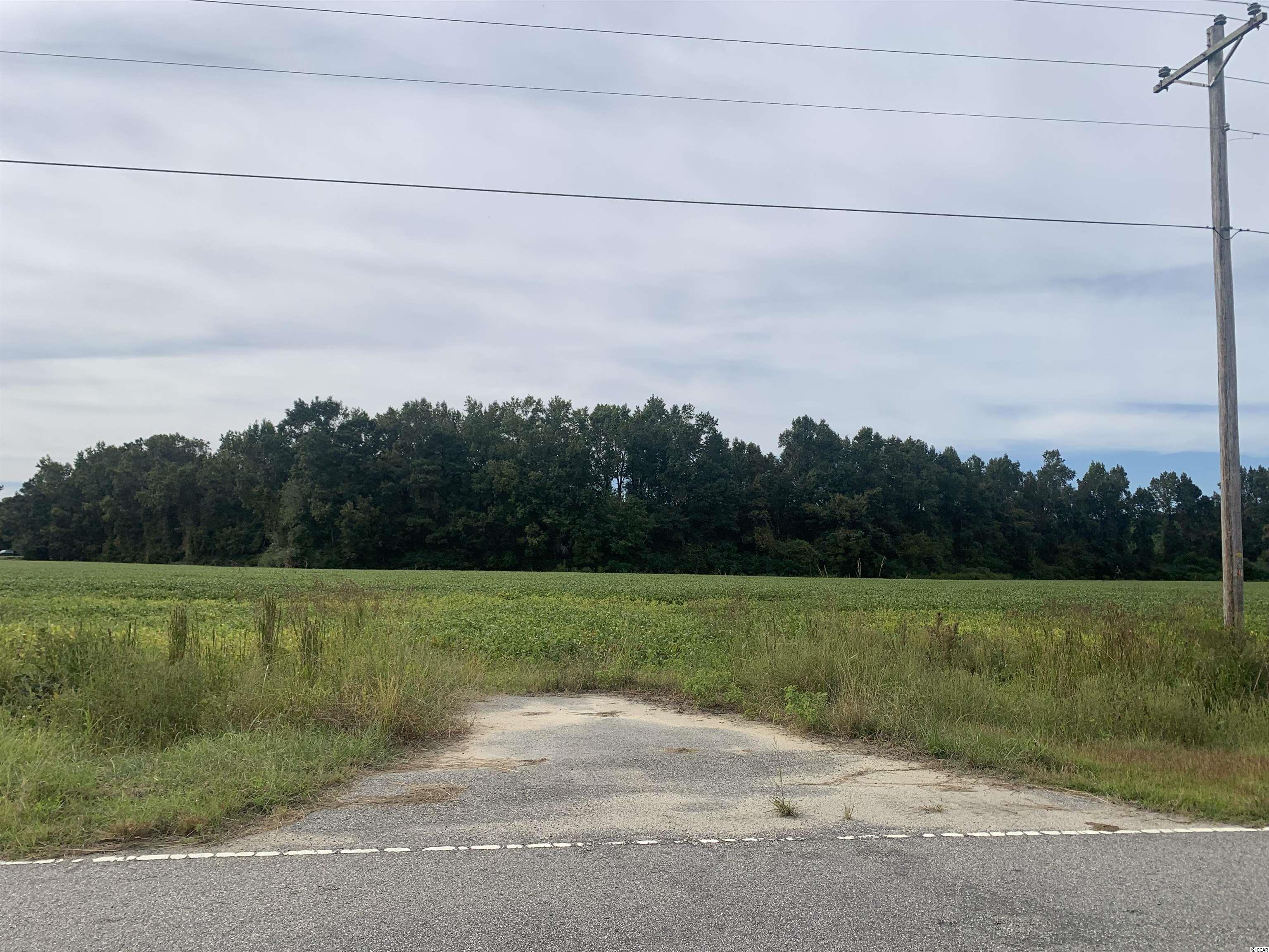 Tbd2 Shoebuckle Road Loris, SC 29569 - Photo 2 of 3 Gallery Image 2