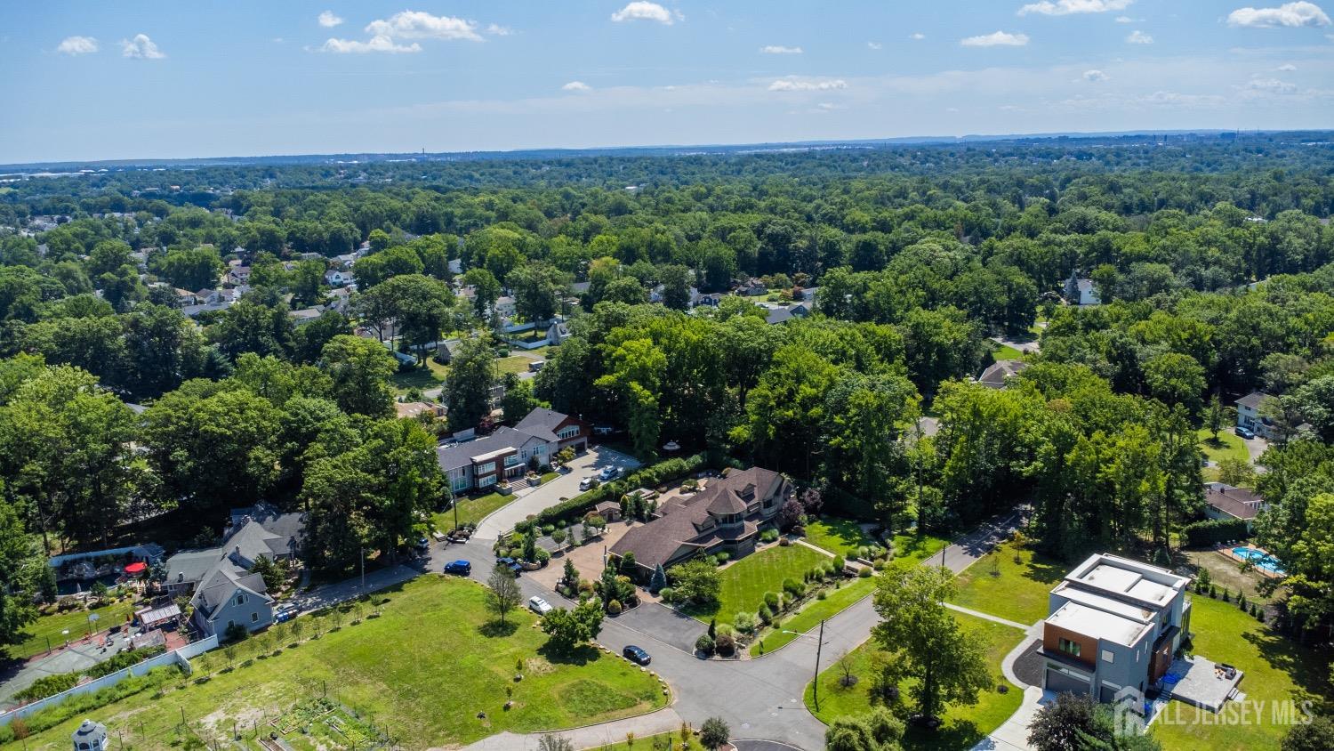 149 Sherwood Road Colonia, NJ 07067 - Photo 64 of 67 Gallery Image 64