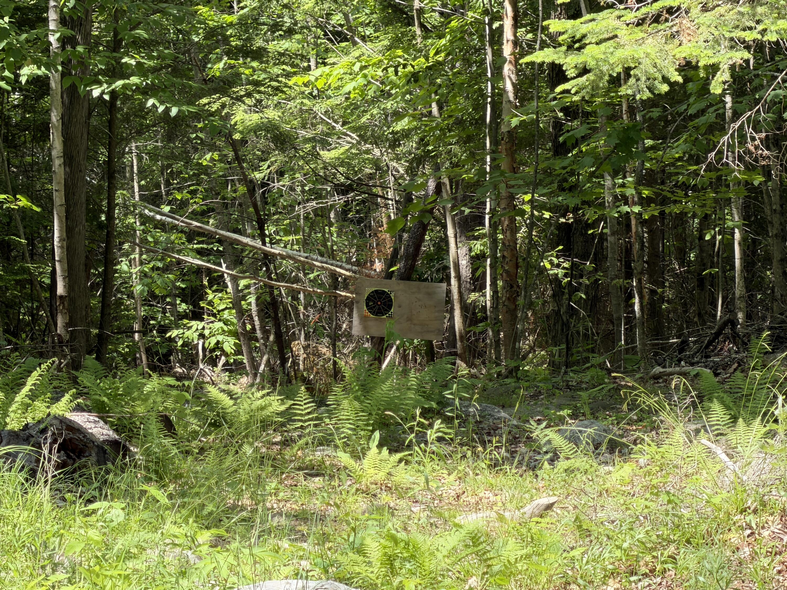 173 North Dixmont Road Troy, ME 04987 - Photo 7 of 28 IMG_1201