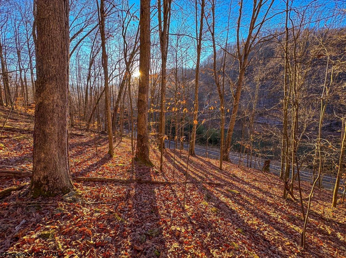 Lot 1 Ivydale Road Clay, WV 25043 - Photo 8 of 12 Gallery Image 8