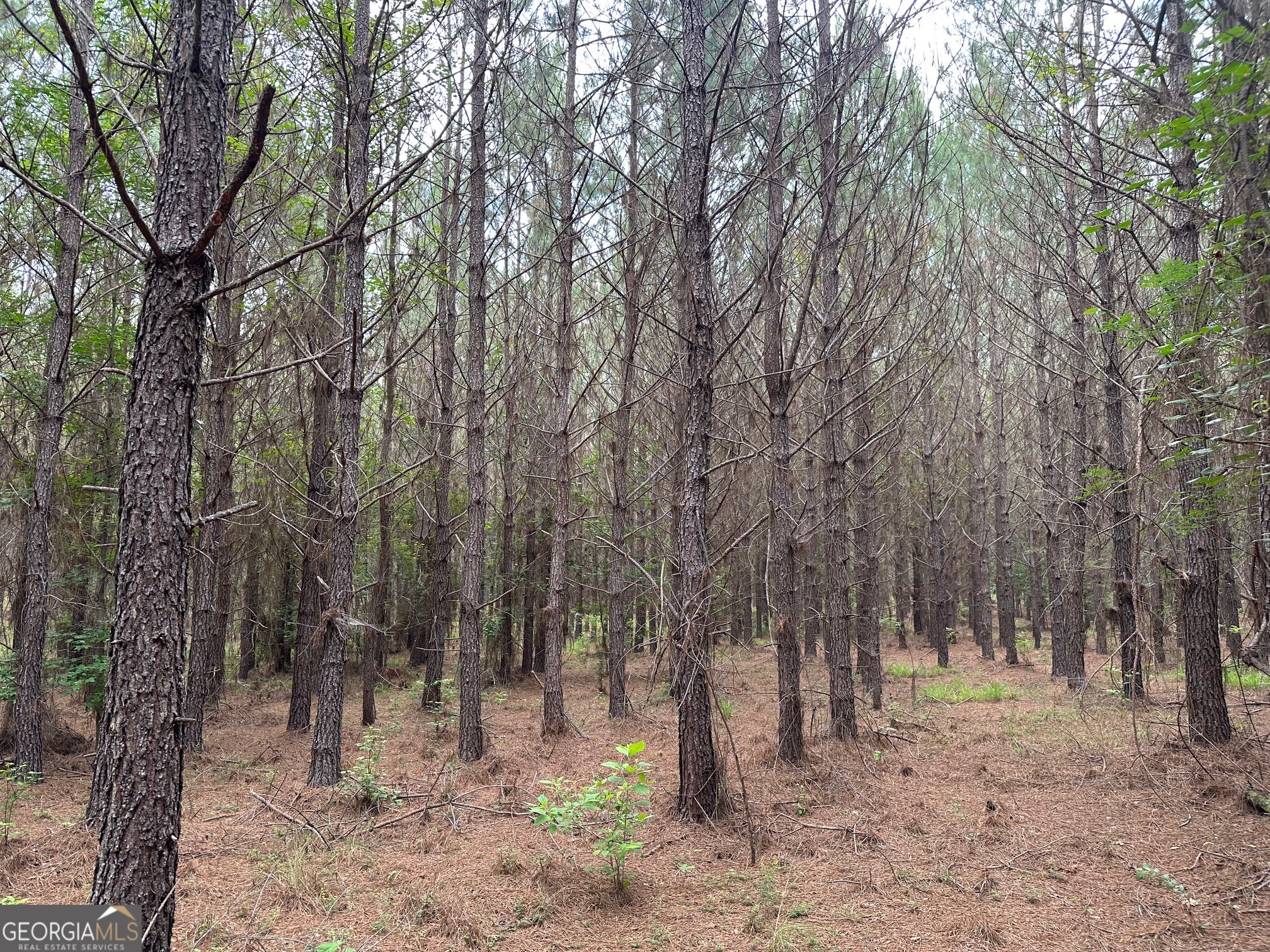 3330 Callaway Road Greensboro, GA 30642 - Photo 76 of 83