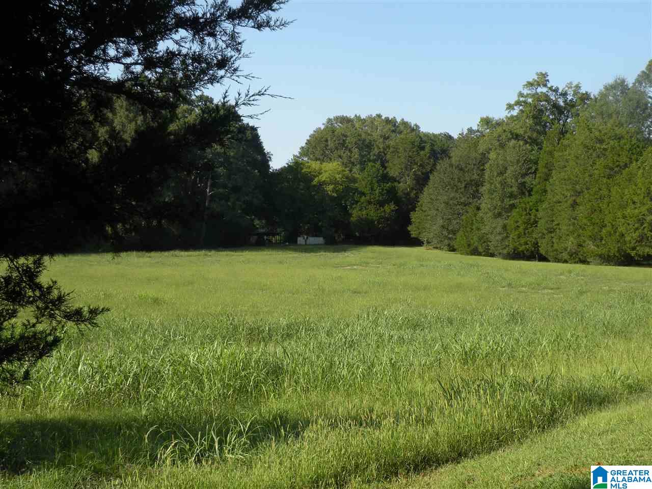 160 Strickland Lane Alpine, AL 35014 - Photo 12 of 50