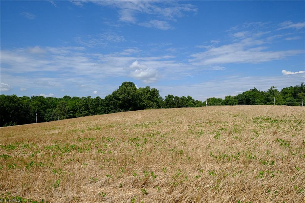0 Marler Road East Bend, NC 27018 - Photo 2 of 7 Gallery Image 2