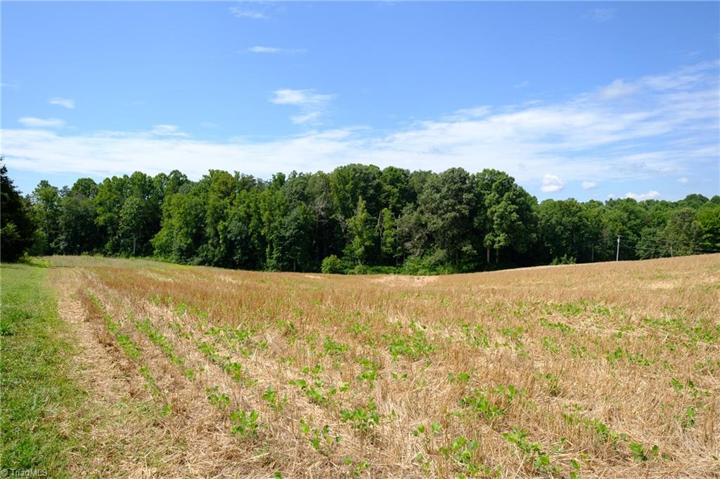 0 Marler Road East Bend, NC 27018 - Photo 3 of 7 Gallery Image 3