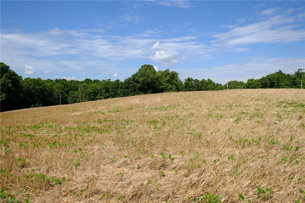 0 Marler Road East Bend, NC 27018 - Photo 4 of 7 Gallery Image 4