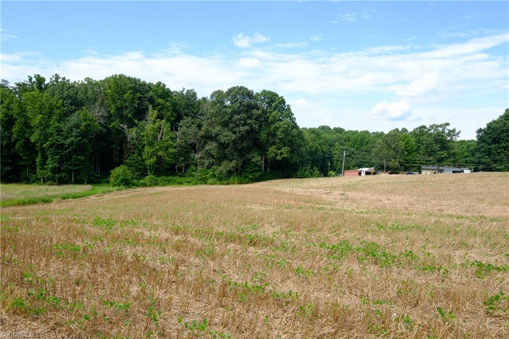 0 Marler Road East Bend, NC 27018 - Photo 6 of 7 Gallery Image 6