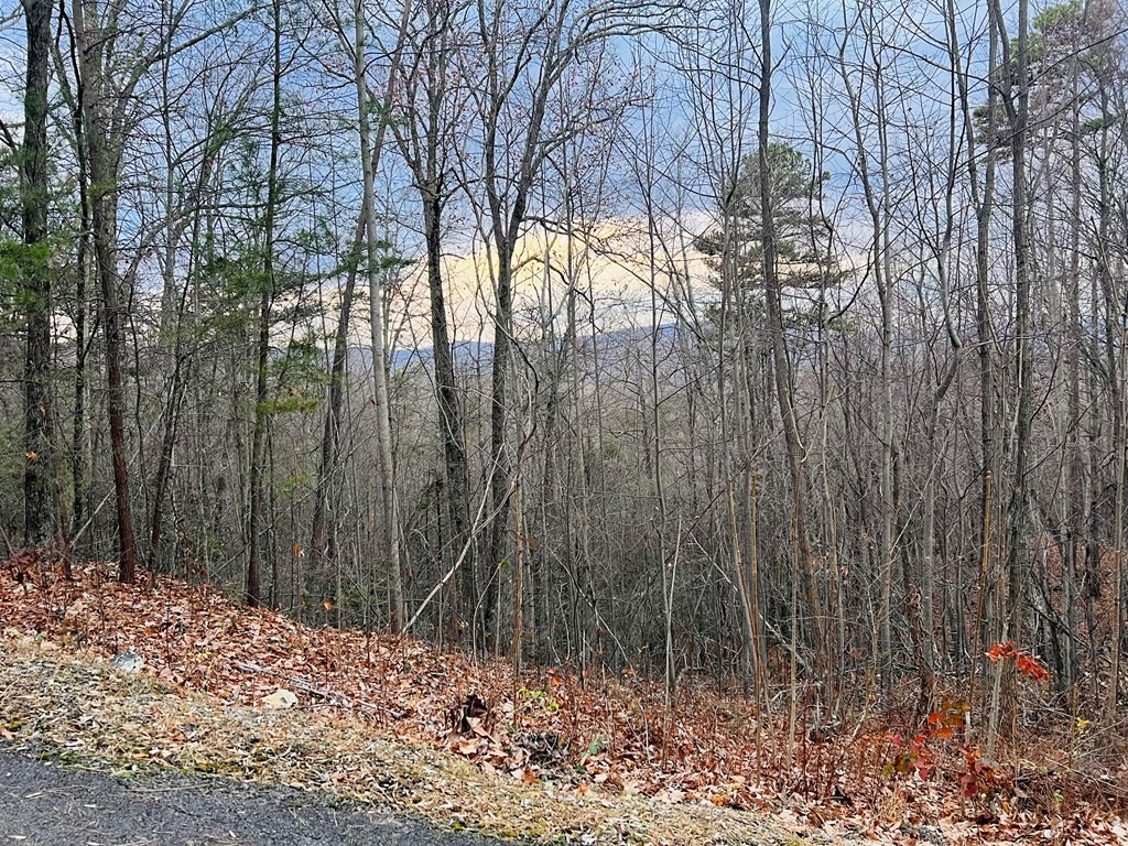666 Battle Top Road Sevierville, TN 37876 - Photo 8 of 11