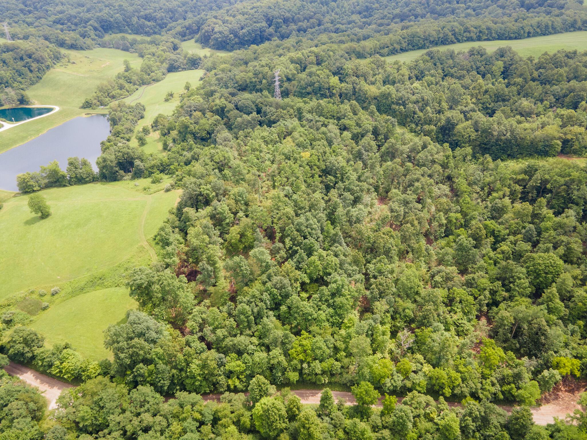 0 White Eyes Road New Concord, OH 43762 - Photo 4 of 14 DJI_0999