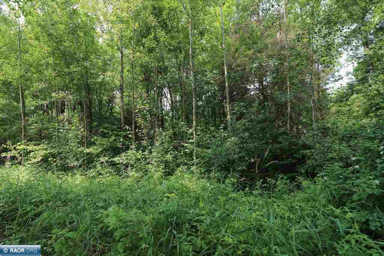 51 Ln 51 Aurora, MN 55705 - Photo 3 of 13