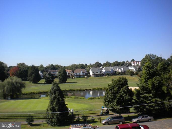 6508 Elmdale Road Alexandria, VA 22312 - Photo 2 of 23 View from Unit