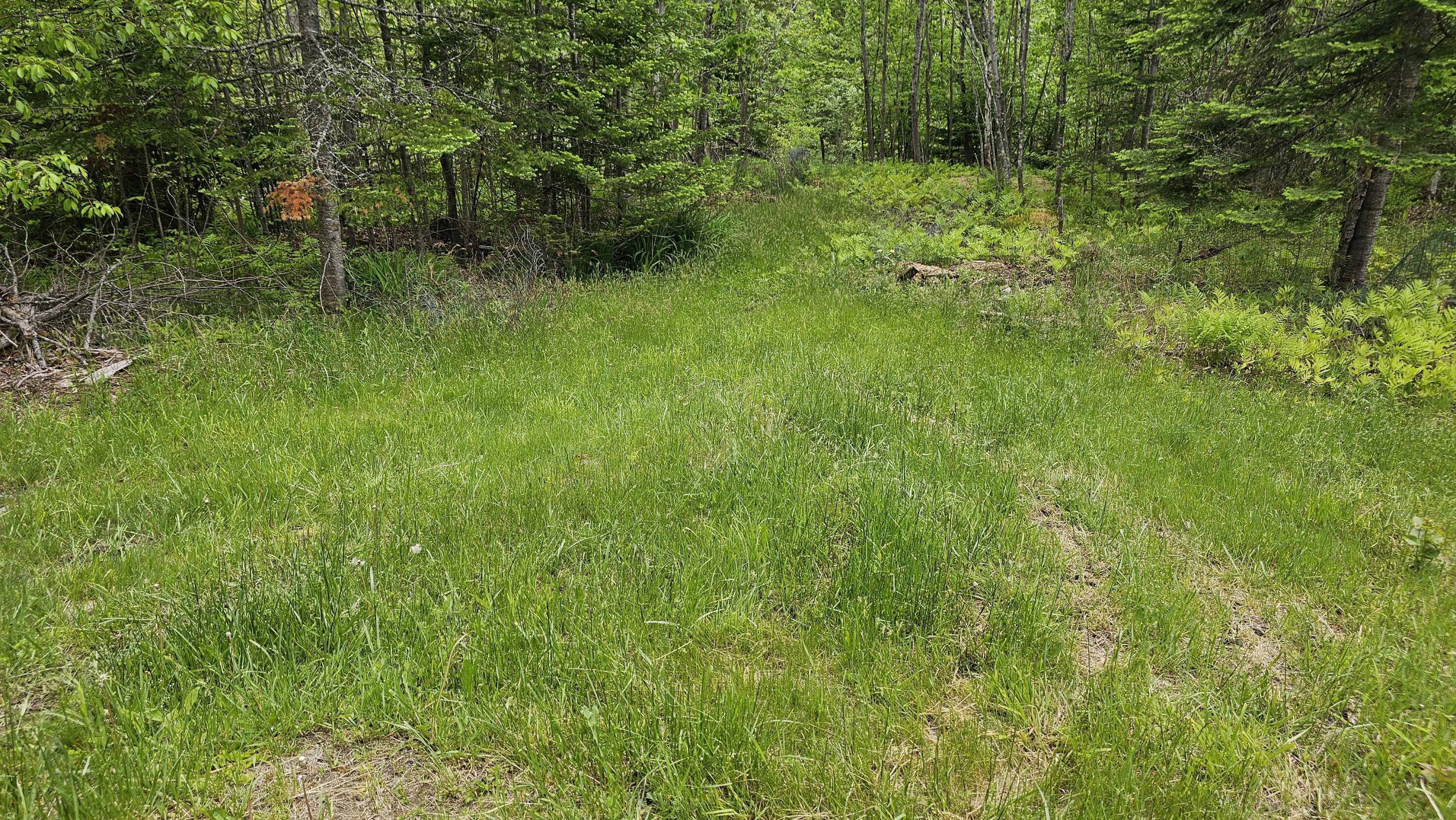 271 Bigelow Road St. Albans, ME 04971 - Photo 52 of 60 Septic Area