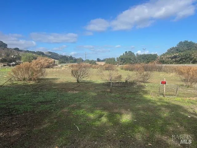 a view of a lake from a yard