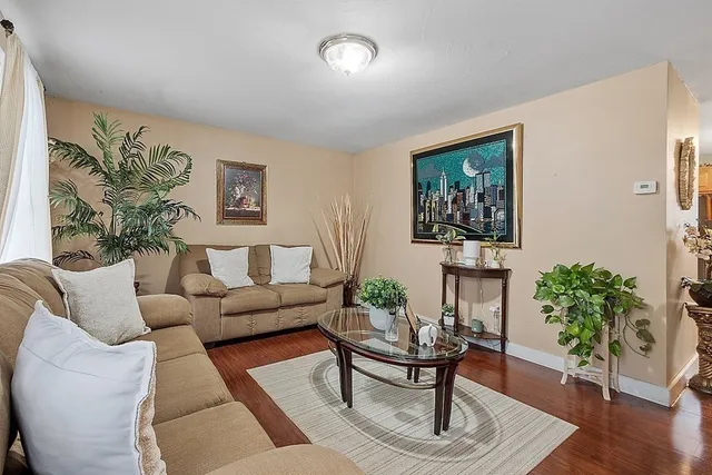 a living room with furniture and a potted plant
