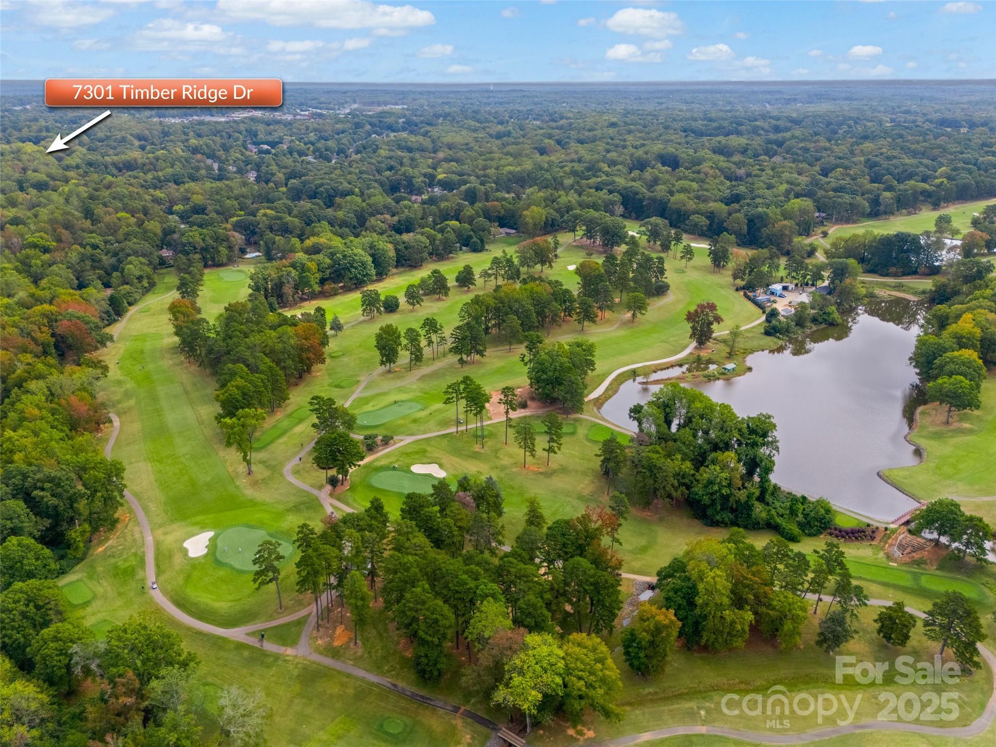 7301 Timber Ridge Drive Mint Hill, NC 28227 - Photo 3 of 37 an aerial view of residential houses with outdoor space and trees