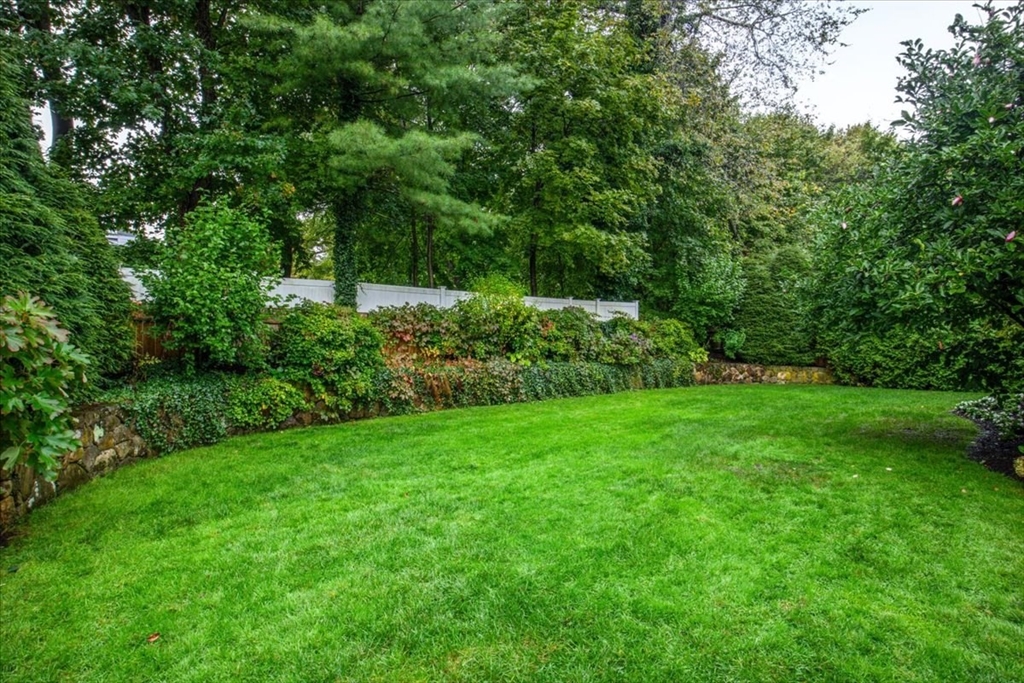 38 Longacre Road Needham, MA 02492 - Photo 39 of 42 a view of yard with green space