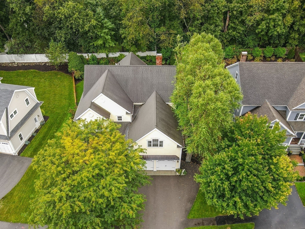 38 Longacre Road Needham, MA 02492 - Photo 6 of 42 an aerial view of a house with a garden and a yard