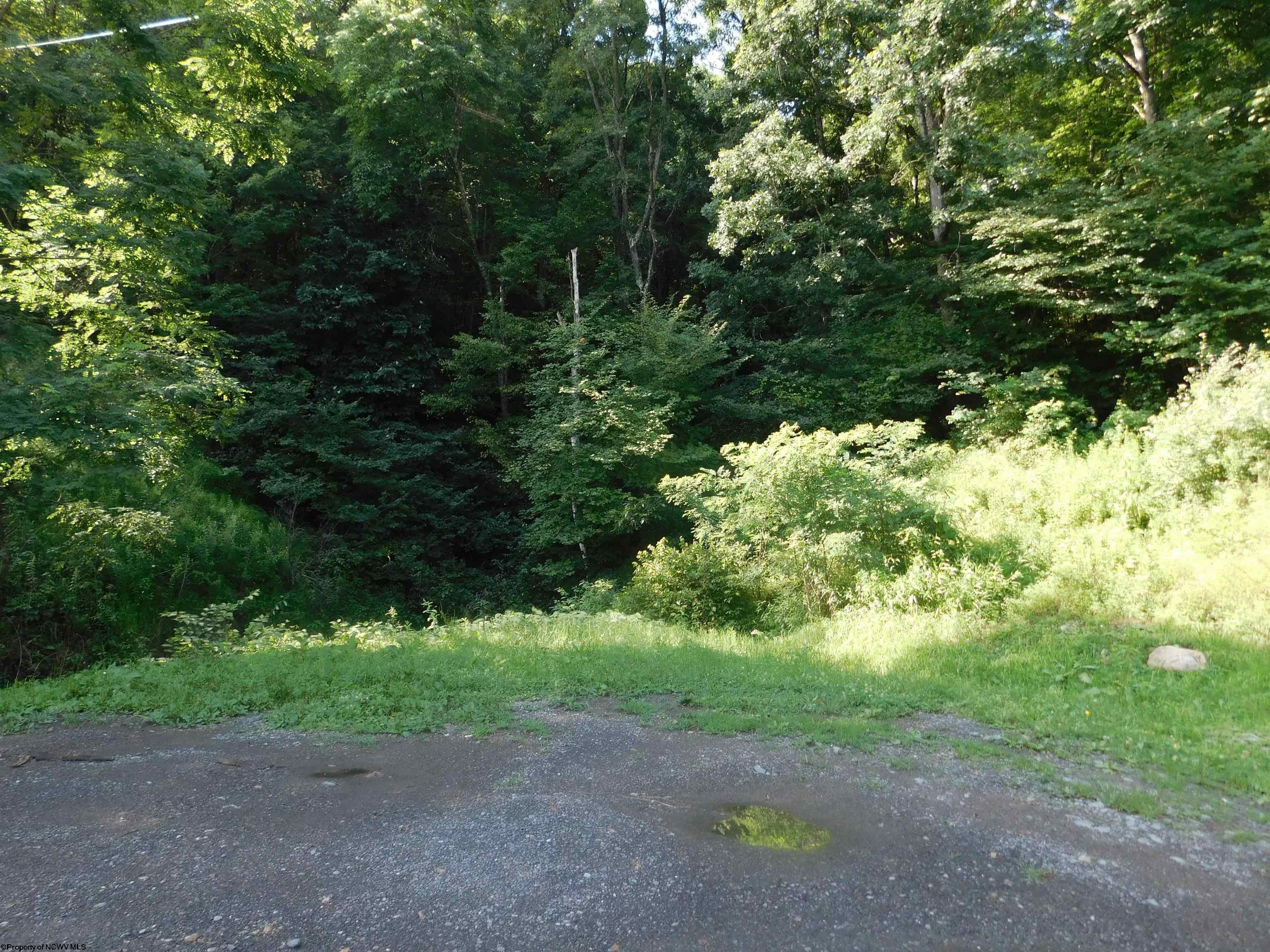 Tbd Independence Road Newburg, WV 26410 - Photo 2 of 16 Gallery Image 2