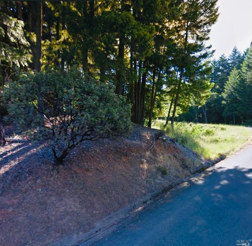 1490 Hulett Place Willits, CA 95490 - Photo 1 of 1 a view of a tree with a backyard