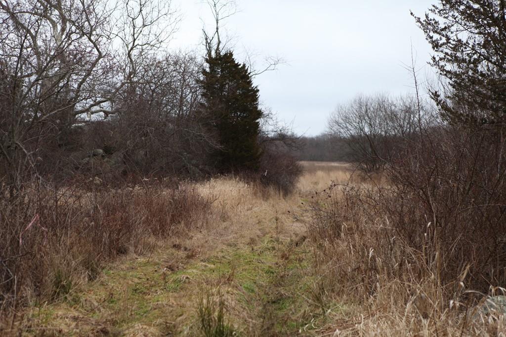 0 Sharps Lot Road Swansea, MA 02777 - Photo 4 of 12 Gallery Image 4