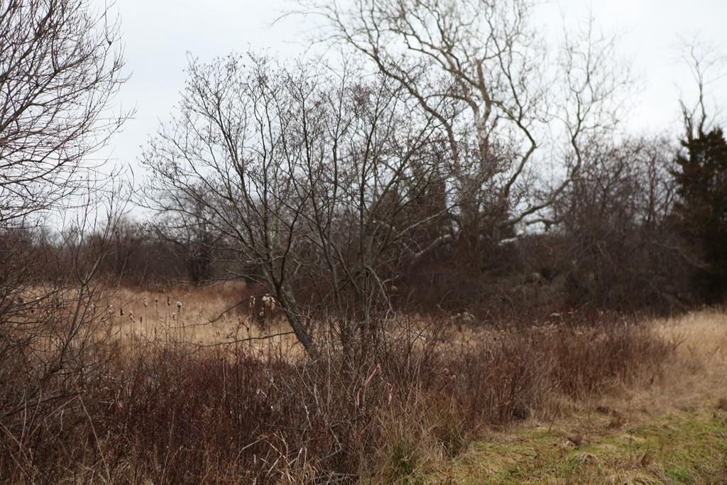 0 Sharps Lot Road Swansea, MA 02777 - Photo 5 of 12 Gallery Image 5