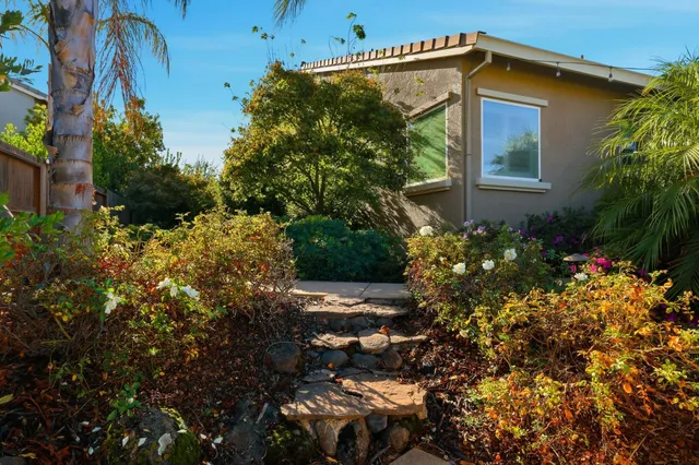 a view of a pathway with plants