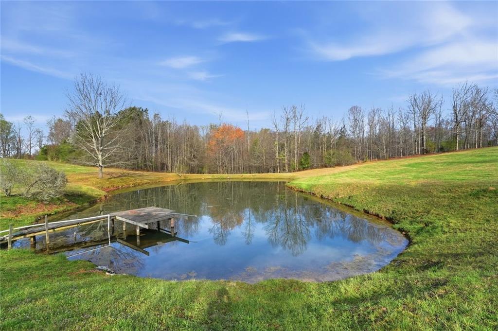 7755 Blacks Mill Road Dawsonville, GA 30534 - Photo 8 of 9